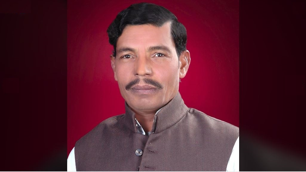 राजवीर सिंह दिलेर का इतिहास