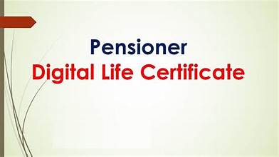 Digital Life Certificate Process: Streamlining Pensioner Verification